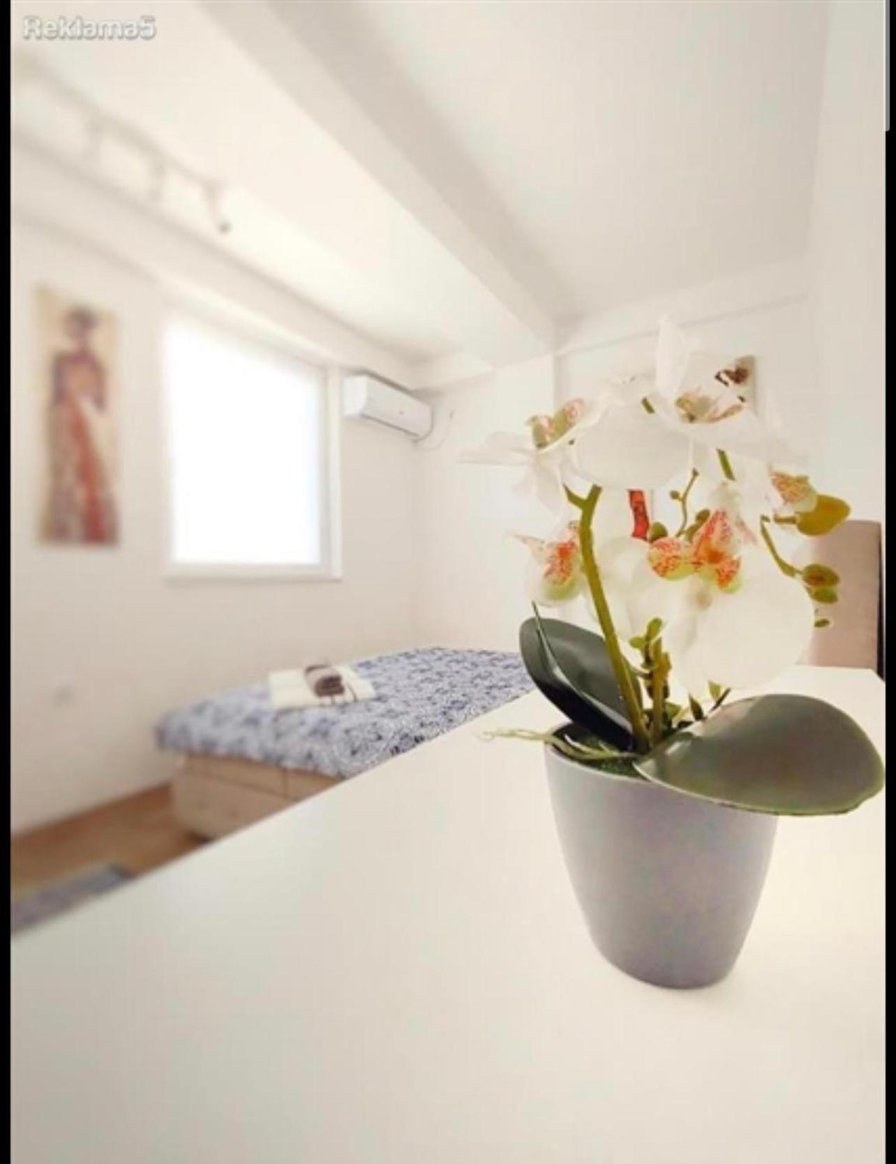 Luxury Skopje Apartments Zewnętrze zdjęcie